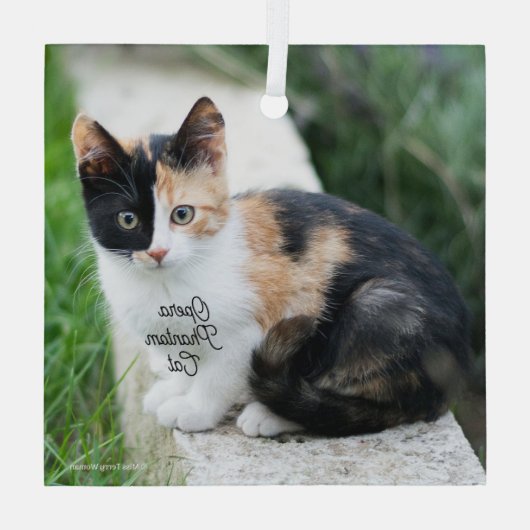 Ornement En Verre Opera Phantom Chat (Verso)