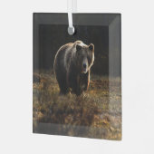 Ornement En Verre Ours (Avant gauche)