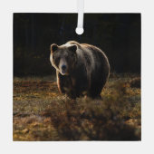 Ornement En Verre Ours (Verso)