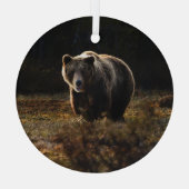 Ornement En Verre Ours (Verso)