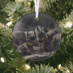 Ornement En Verre Pack Wolf