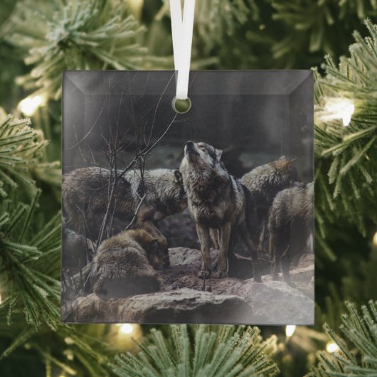 Ornement En Verre Pack Wolf (Insitu)