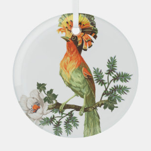 Ornement En Verre Paradise Birds : Exotic Floral Arrière - plan