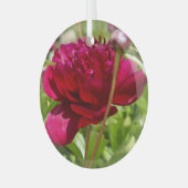 Ornement En Verre Peonées de velours de Maron foncé (Avant gauche)