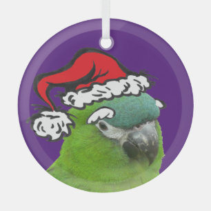 Ornement en verre Père Noël Lorikeet vert