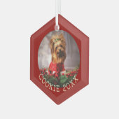 Ornement En Verre Personnalisé Mon premier chien de Noël garde un an (Avant gauche)