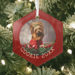 Ornement En Verre Personnalisé Mon premier chien de Noël garde un an
