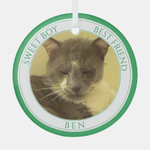 Ornement En Verre PET LOVE Cercle de verre Ornement + Texte / Vert