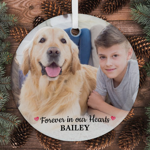 Ornement En Verre Pet Memorial Forever dans nos coeurs Moderne 1 Pho
