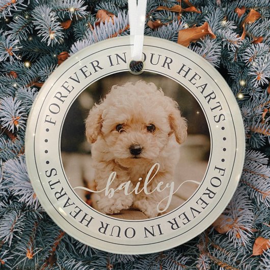 Ornement En Verre Pet Memorial Forever Hearts Élégant Photo Chic