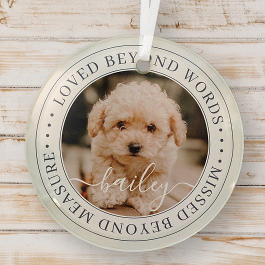 Ornement En Verre Pet Memorial Love Beyond Words Elegant Chic Photo