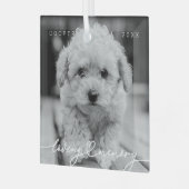 Ornement En Verre Pet Memorial Love Memory Simple Photo moderne (Avant gauche)