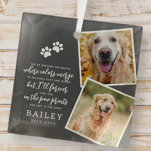 Ornement En Verre Pet Memorial Modern Simple Chic Poème Photo