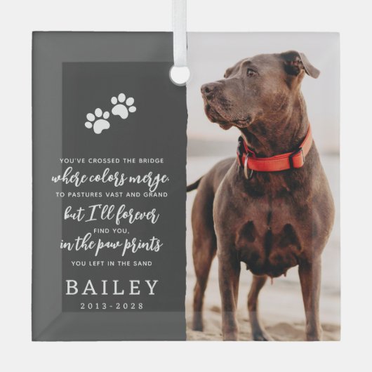 Ornement En Verre Pet Memorial Simple Moderne Chic Poème Photo (Recto)