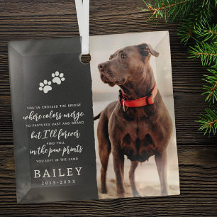 Ornement En Verre Pet Memorial Simple Moderne Chic Poème Photo