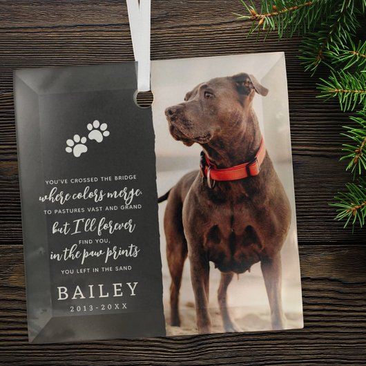 Ornement En Verre Pet Memorial Simple Moderne Chic Poème Photo