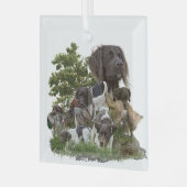 Ornement En Verre Petit Munsterlander (Avant gauche)