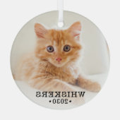 Ornement En Verre Photo Cat (Verso)