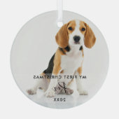 Ornement En Verre Photo de chat de chien de compagnie Mon premier No (Verso)