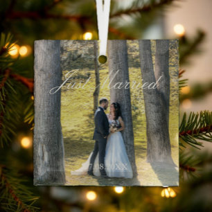 Ornement En Verre Photo de mariage