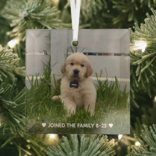 Ornement En Verre Photo de Noël de mon chien