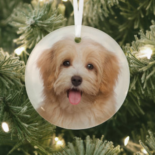 Ornement En Verre Photo de Noël personnalisée de votre animal de com