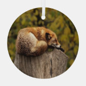 Ornement En Verre Photo de renard dormant (Verso)