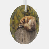 Ornement En Verre Photo de renard dormant (Avant droite)