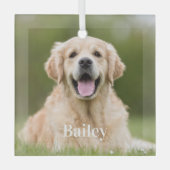 Ornement En Verre Photo Personnalisé d'Animal de Compagnie Moderne e (Recto)