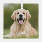 Ornement En Verre Photo Personnalisé d'Animal de Compagnie Moderne e (Verso)