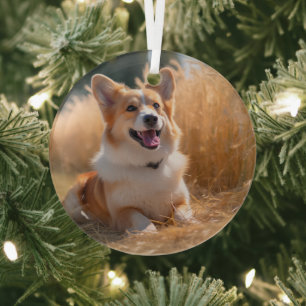 Ornement En Verre Photo personnalisée pour animaux