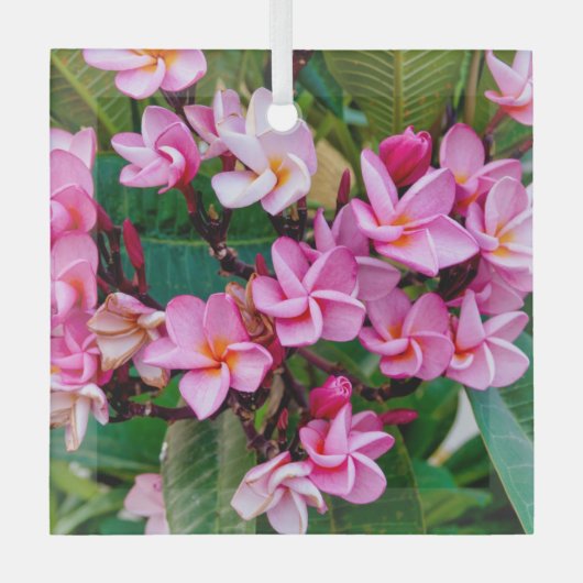 Ornement En Verre Pink Plumeria (Recto)
