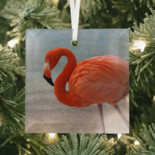 Ornement En Verre Plages tropicales Flamant rose des Caraïbes, Aru