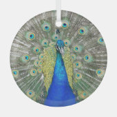 Ornement En Verre Plumage bleu Peacock (Recto)