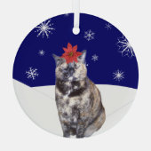 Ornement En Verre Poinsettia sur Tortoiseshell Chat with Snowy Hills (Verso)
