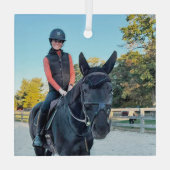 Ornement en verre pour cheval de commande spéciale (Verso)