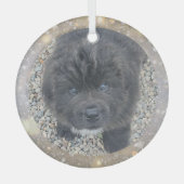 Ornement en verre pour chiot gris commande spécial (Recto)