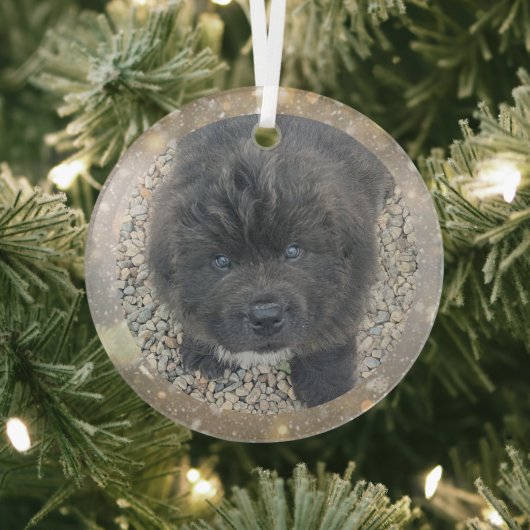 Ornement en verre pour chiot gris commande spécial (Insitu)