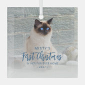 Ornement En Verre Premier Noël Forever Accueil Animaux domestiques P (Recto)