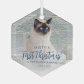 Ornement En Verre Premier Noël Forever Accueil Animaux Photo Bleu (Recto)