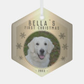 Ornement En Verre Premier Noël Golden Snowflake Dog Photo (Recto)
