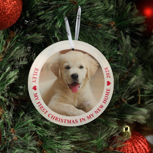 Ornement En Verre Premier Noël Nouveau Accueil Chien Chien de Chien