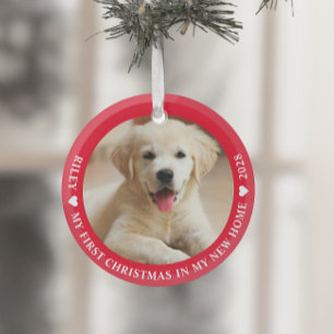 Ornement En Verre Première photo de chien chiot de Noël