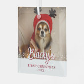 Ornement En Verre Première photo de chiot de Noël Étoiles blanches (Avant gauche)