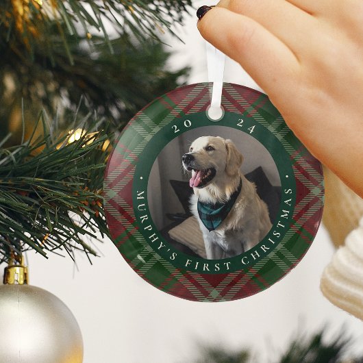 Ornement En Verre Première photo de Noël de l'animal domestique clas
