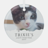 Ornement En Verre Première photo de Noël d'un chat pour animaux de c (Recto)