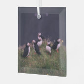 Ornement En Verre Puffins de l'Atlantique (Avant gauche)