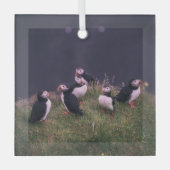 Ornement En Verre Puffins de l'Atlantique (Recto)