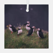Ornement En Verre Puffins de l'Atlantique (Verso)