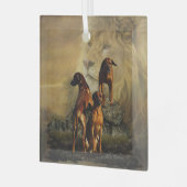 Ornement En Verre Rhodesian Ridgeback avec Lion (Avant gauche)